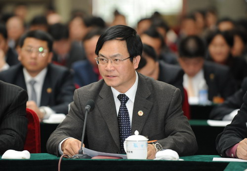 李玉光委员联组会发言:重视全球化进程中的知识产权问题