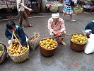 南丹瑶山红梨